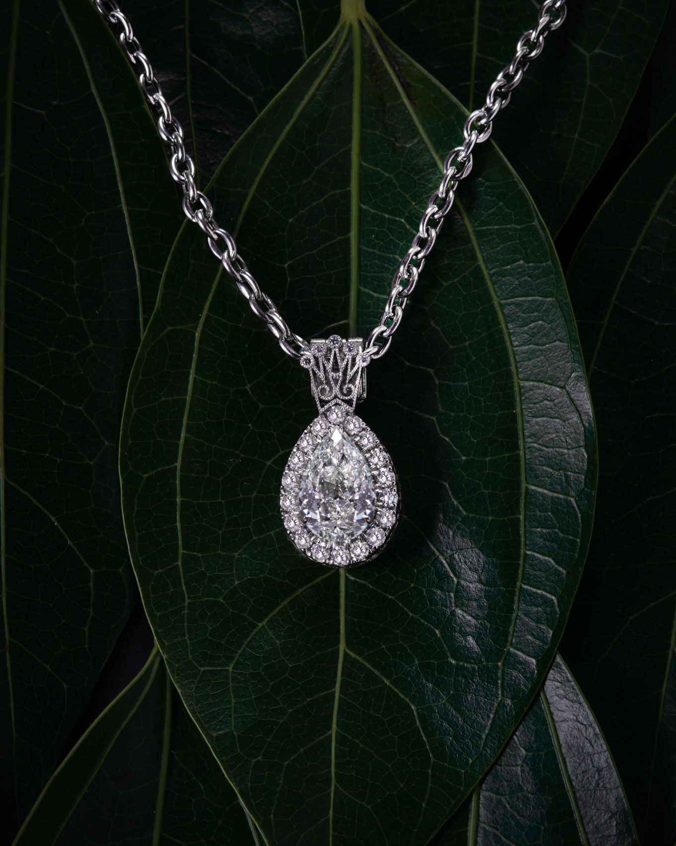 bella-4603